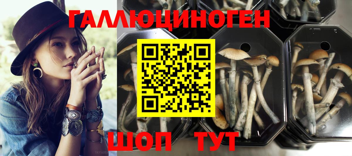 Галлюциногенные грибы прущие грибы Можайск